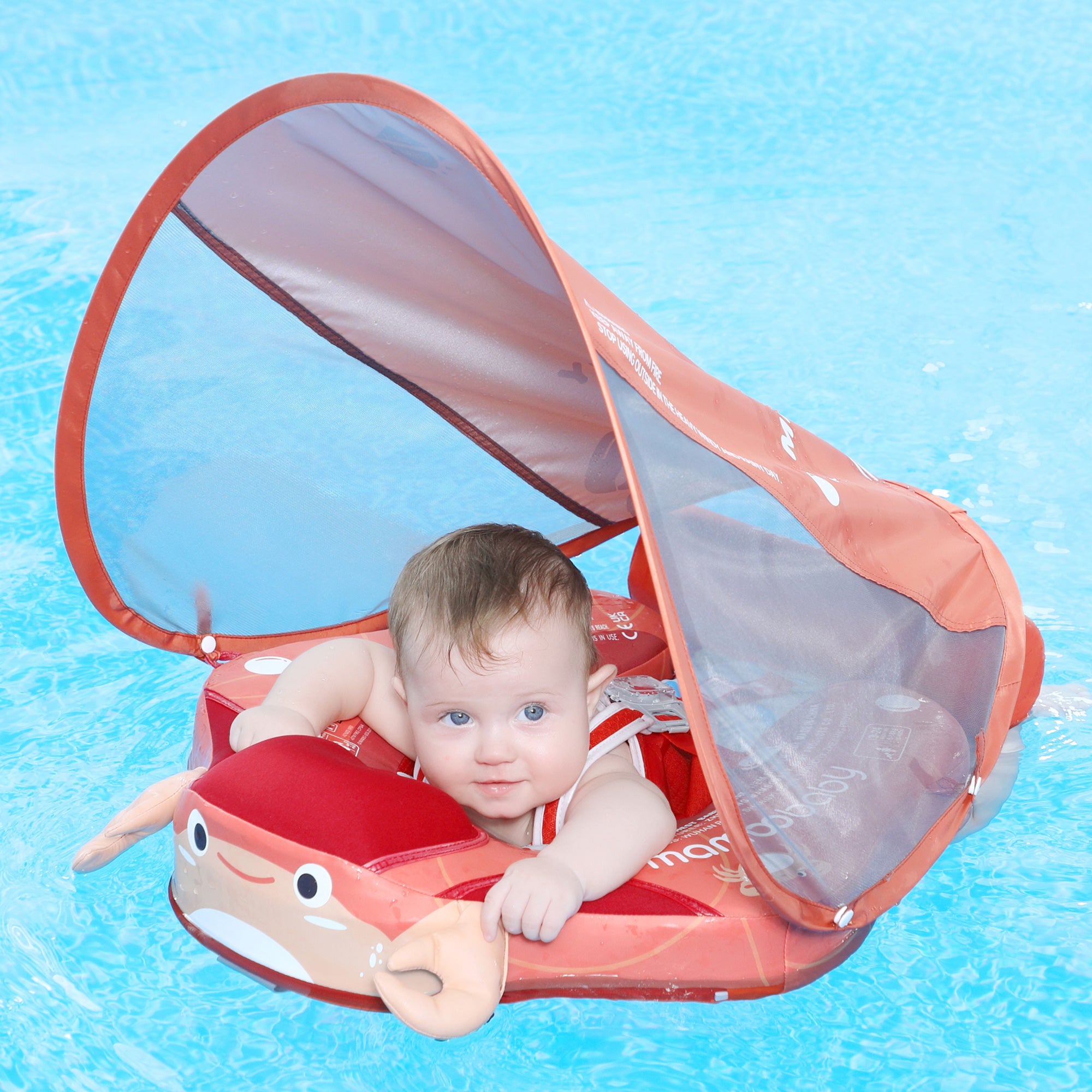 B661_Crab_Orange 03.jpg