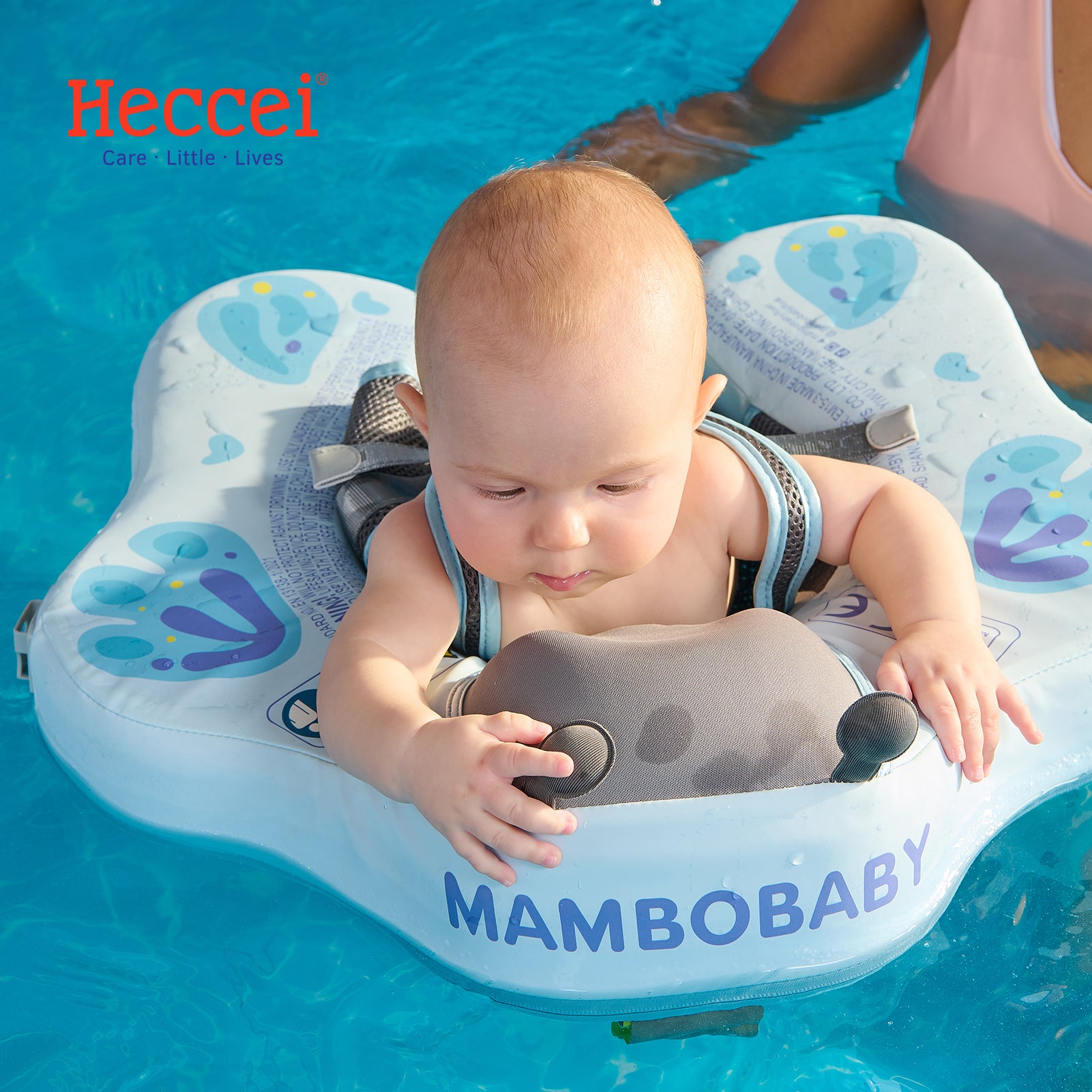 FoamCore™ Ultra - Blue Butterfly | No Canopy Included