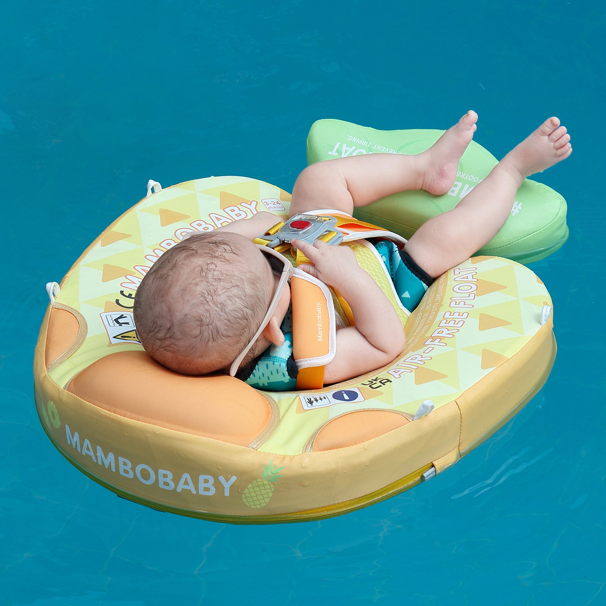 B503_Pineapple 07.jpg