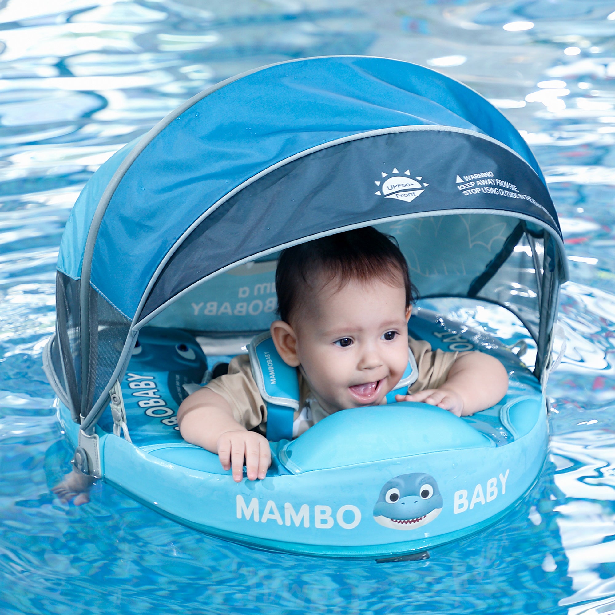 Dinosaur_eggs 02.jpg