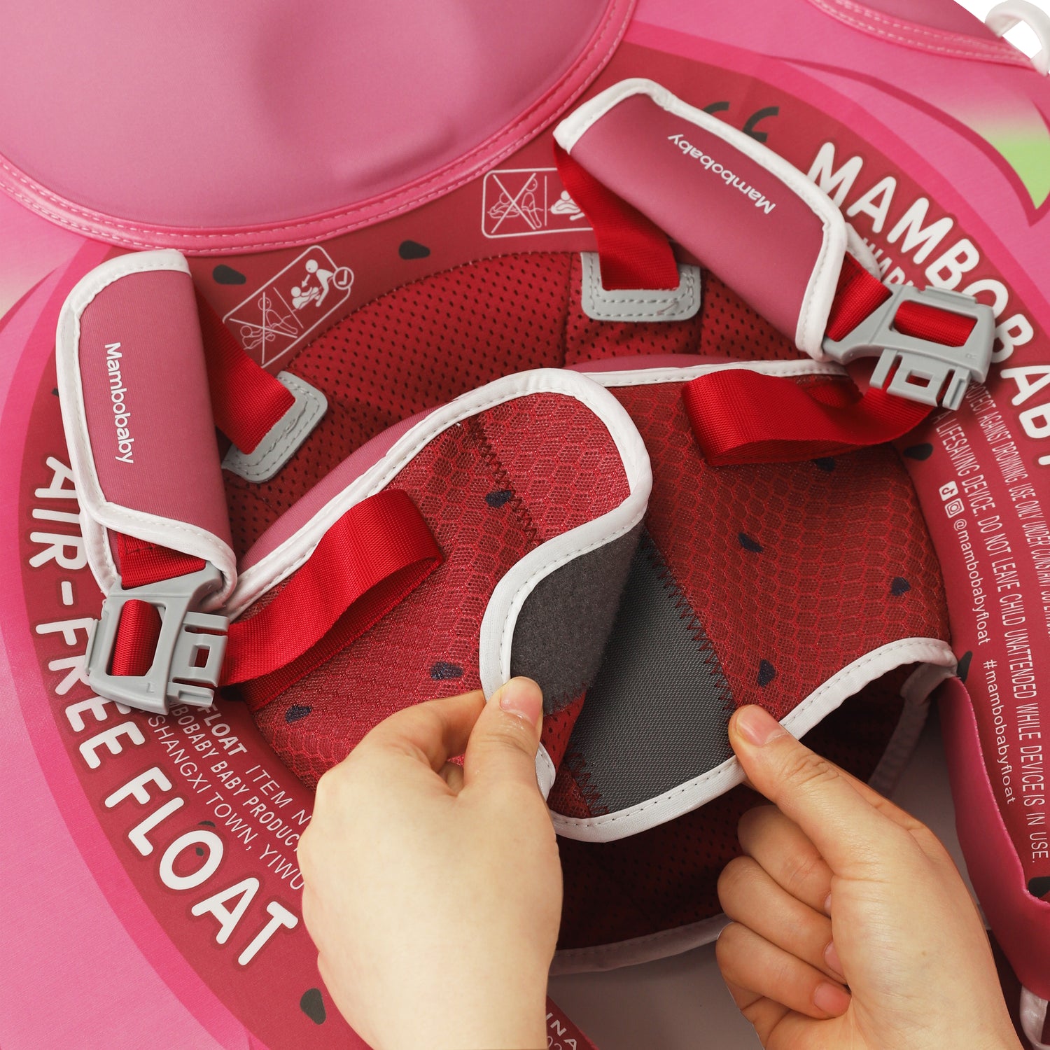 B503_DragonFruit 11.jpg