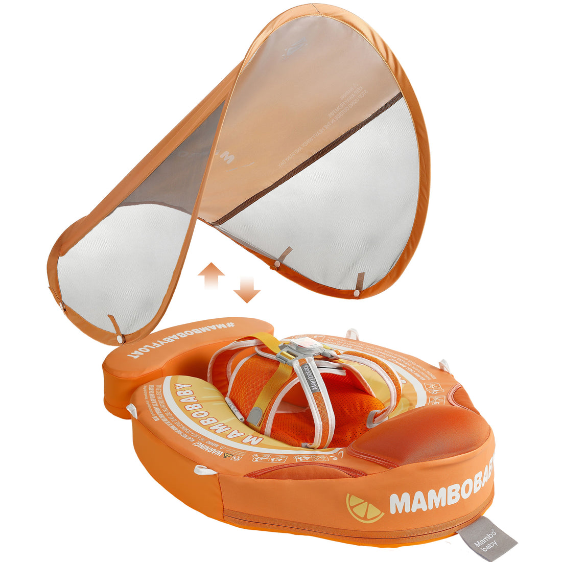 B503_Tangerine_Orange 02.jpg