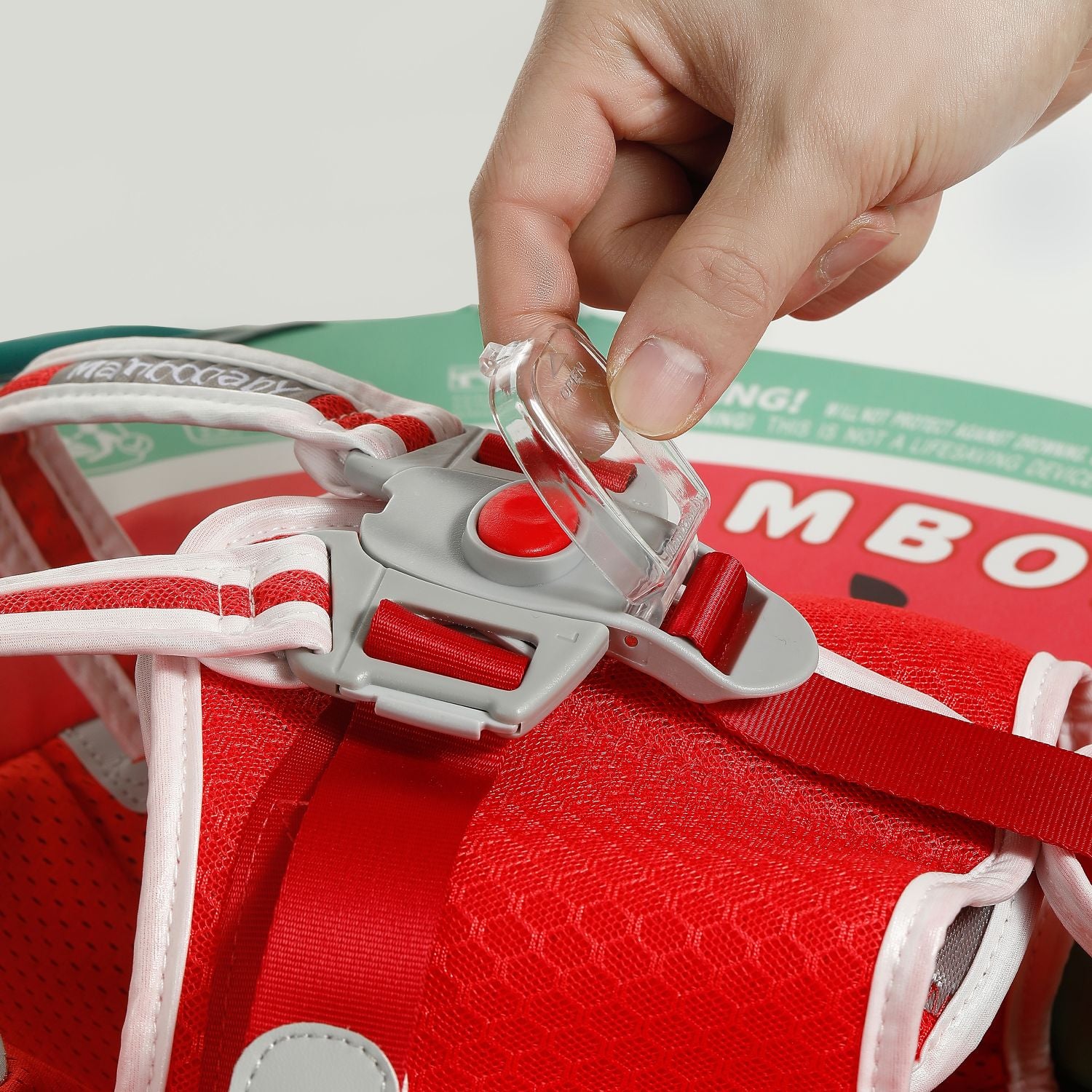 B503 Watermelom Green 07.jpg