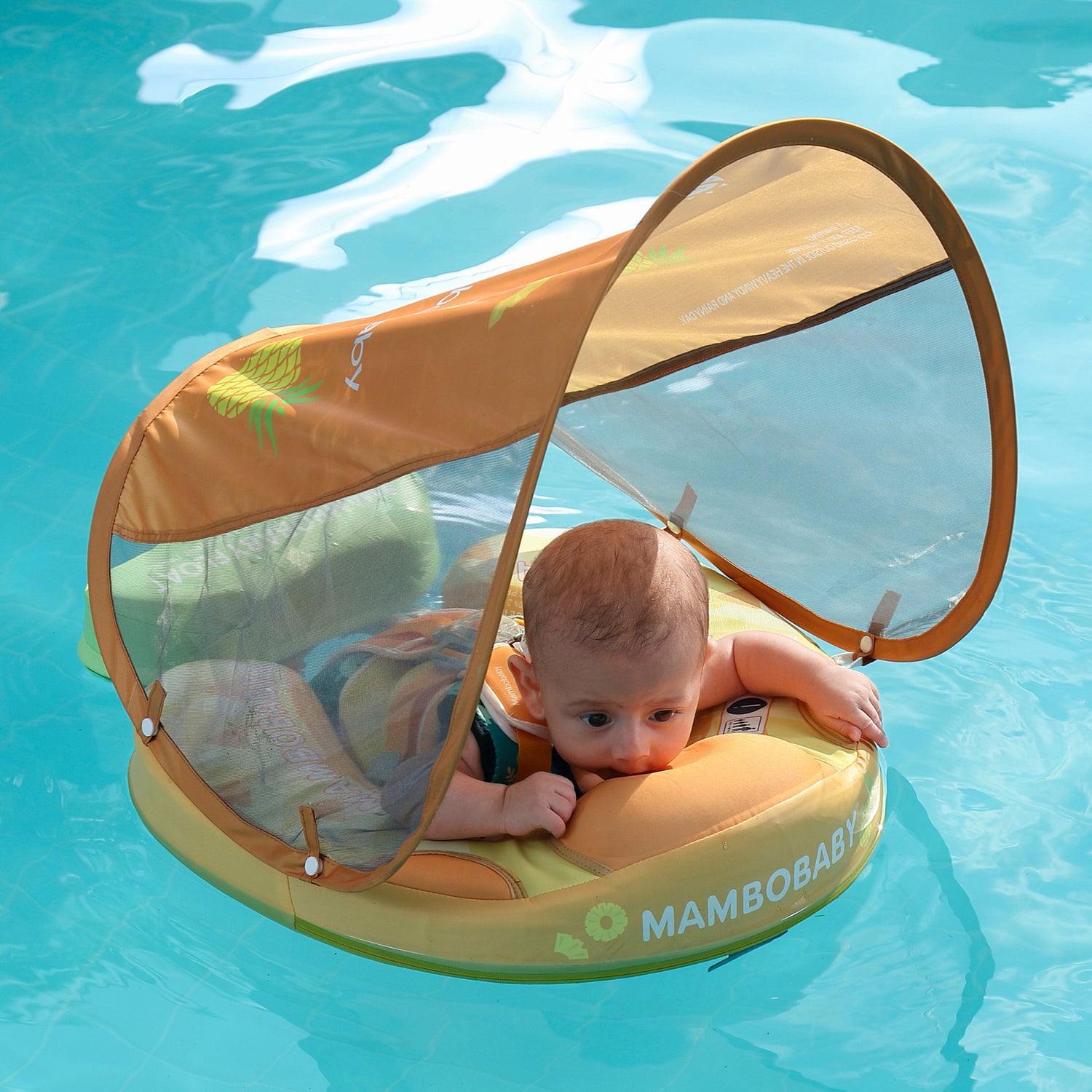 B503_Pineapple 05.jpg