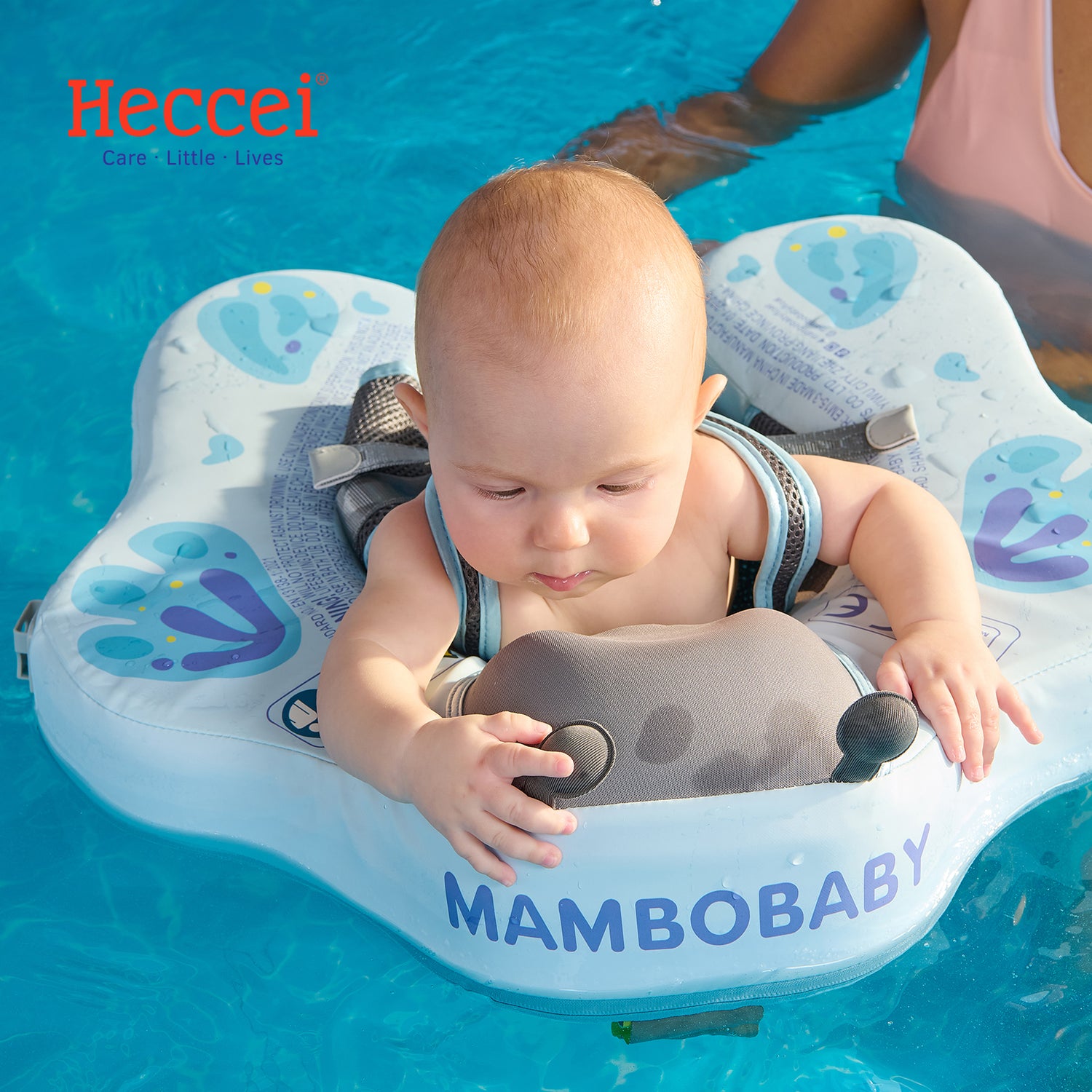 FoamCore™ Ultra - Blue Butterfly | No Canopy Included