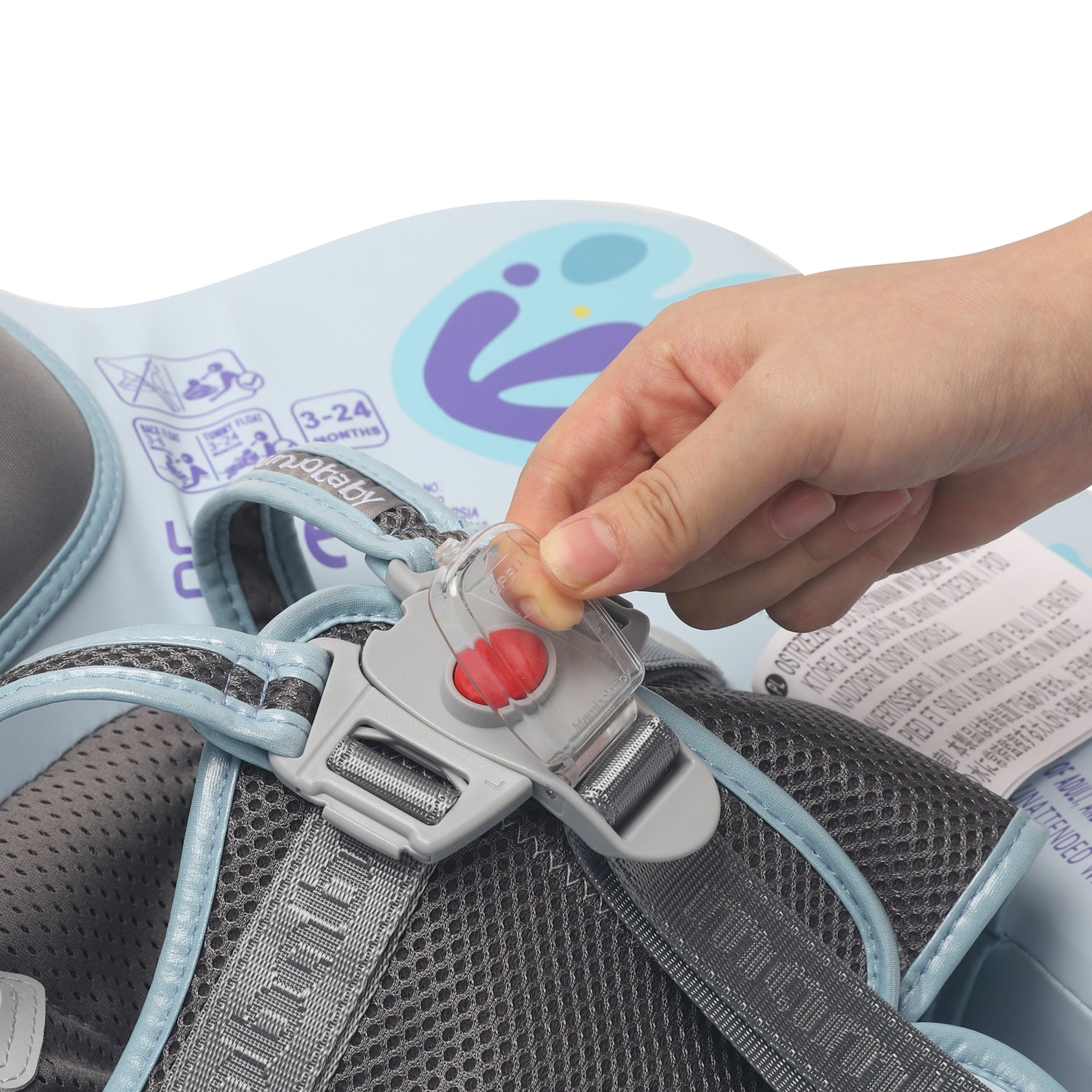 Butterfly_Blue 08.jpg