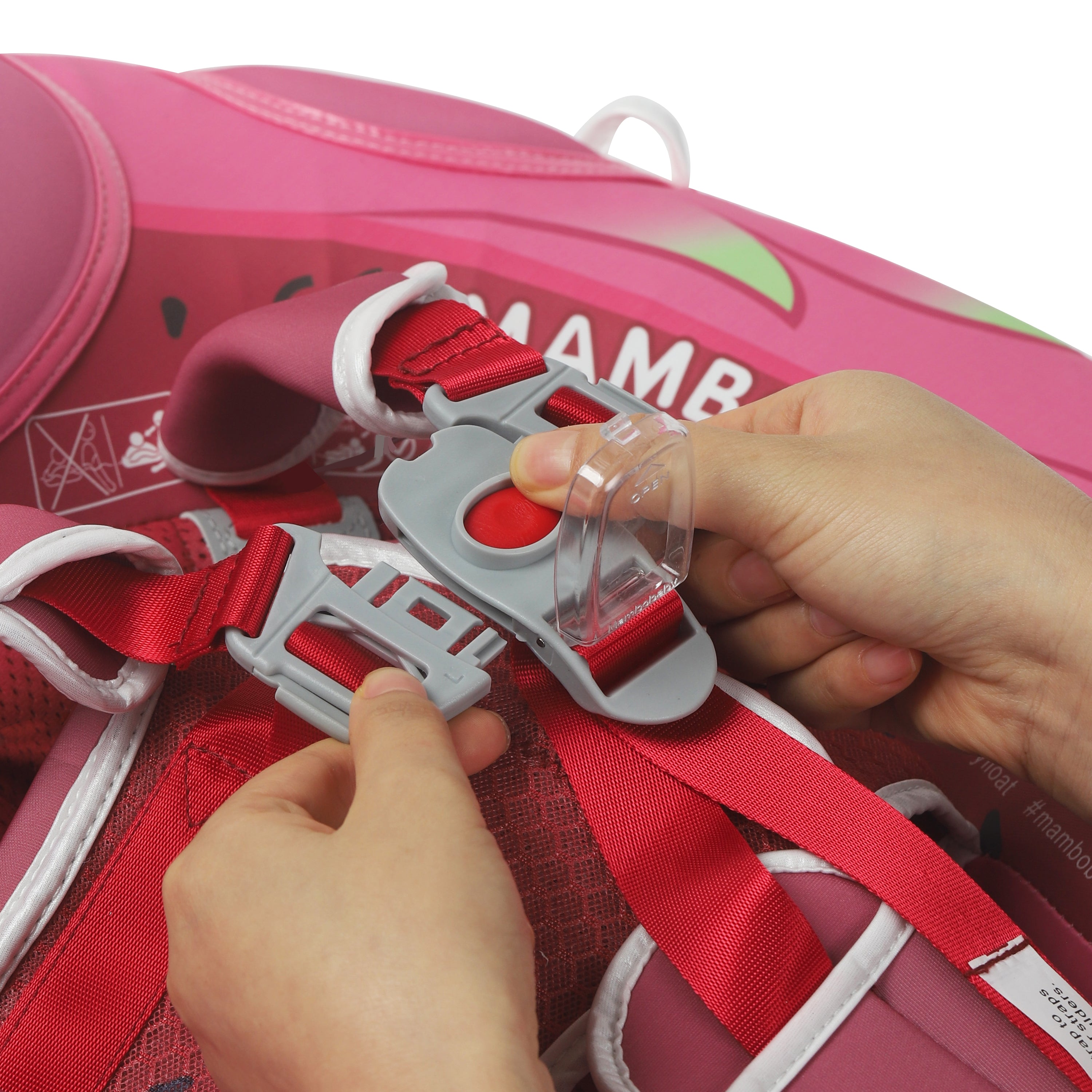 B503_DragonFruit 10.jpg