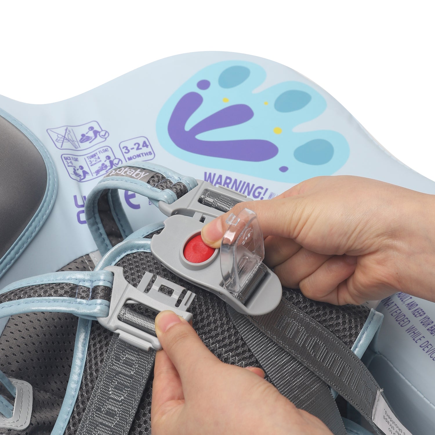 Butterfly_Blue 09.jpg