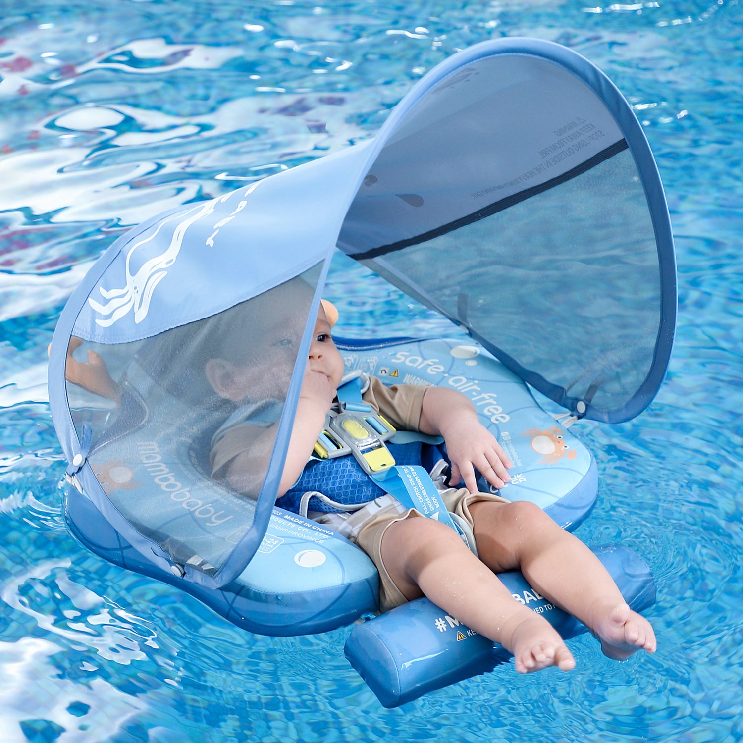 B661_Crab_Blue 04.jpg